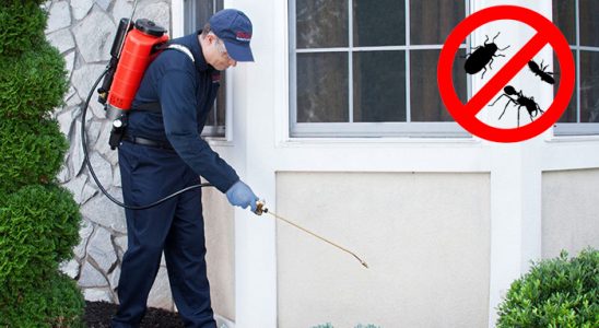 Mazıdağı Dezenfeksiyon böcek ilaçlama ve haşere kontrolü — ilaclama-tr.com